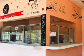 Beautification 17