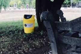 Waste Management 5