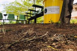 Waste Management 7