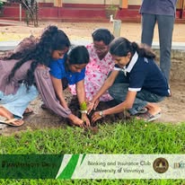 Plantation activity 2