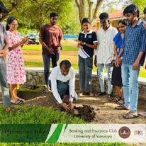 Plantation activity 3