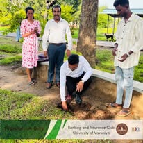 Plantation activity 4