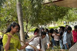 Plantation (2)