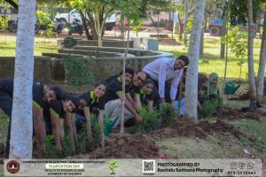 Plantation Moment 2