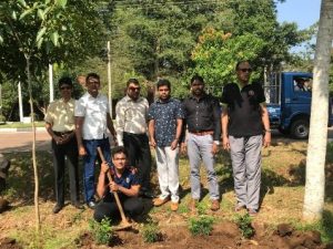 Plantation Moment 3