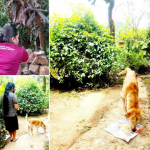 Feeding the Wandering Animals and Birds during the Covid-19 Pandemic Situation 3
