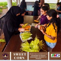 87834062-71c9-47b7-af49-84dc816dd2e7