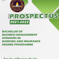 Prospectus-BAI-Honours-2021-2022