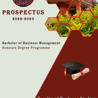 Prospectus-BBM-Honours-2022-2023